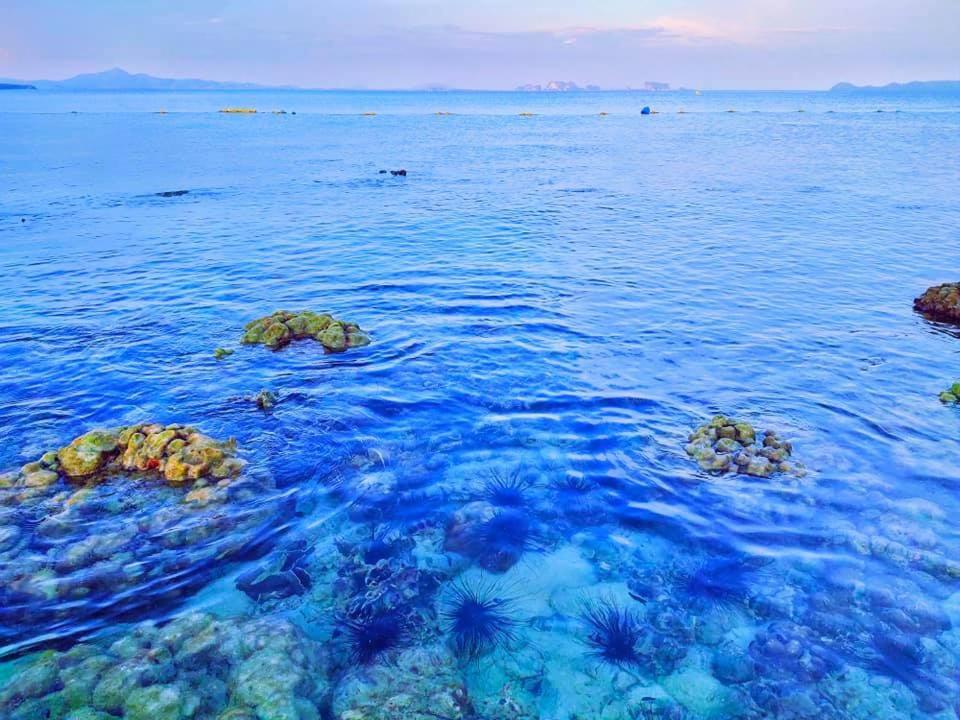 The Reef Resort Koh Kradan Exterior photo